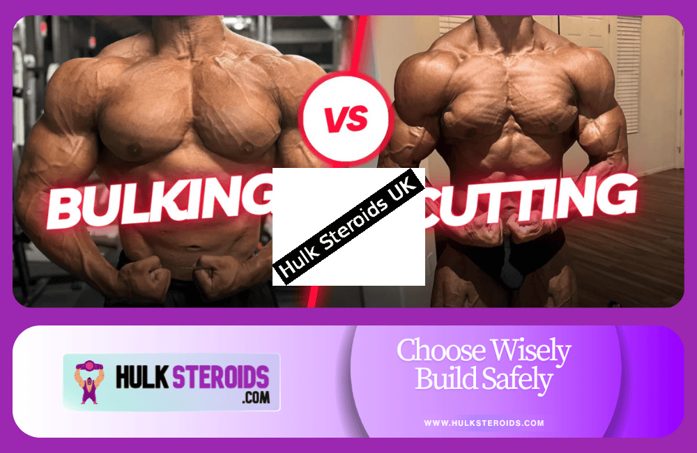 mass vs cutting physique system control