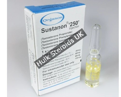 Buy Karachi Organon Sustanon - 3 x 250mg (Pharma Grade) - Gallery Image 1