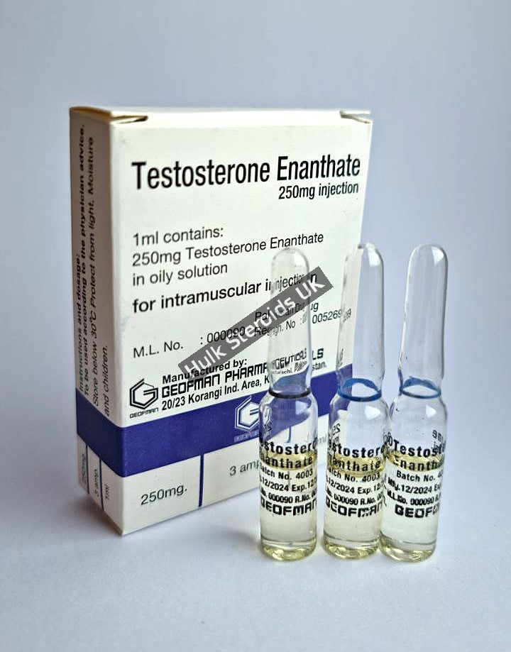 Buy Testosterone Enanthate 250mg - Geofman Pharmaceuticals - Gallery Image 1