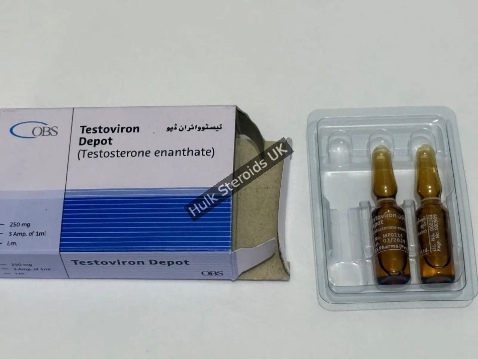 Buy Testoviron by OBS Pharma (PVT) Ltd - Testosterone Enanthate 250mg/ml x 3 Amps - Gallery Image 1