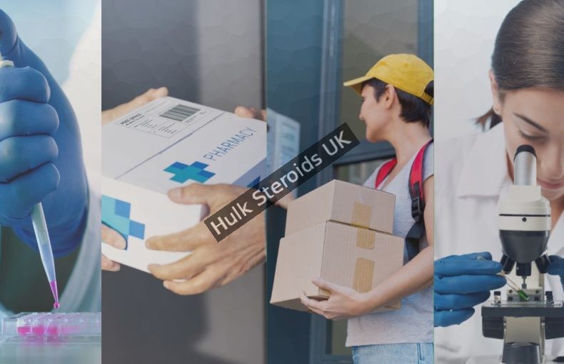 Infographic lab → insulated box → courier → researcher.