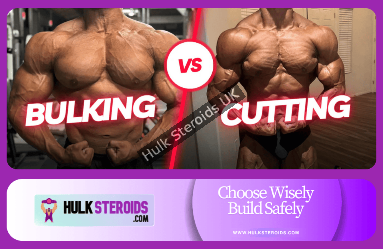 mass vs cutting physique system control