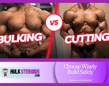 mass vs cutting physique system control