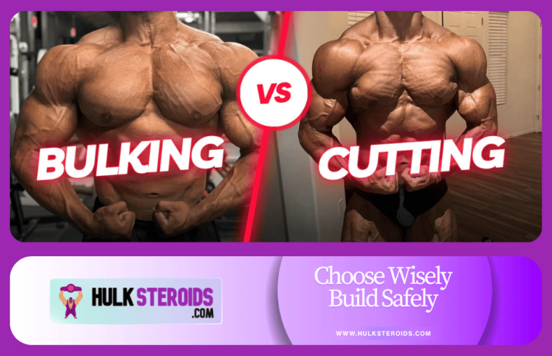 mass vs cutting physique system control