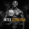 Intex Pharma Letrozole 2.5mg x 60 tabs - Featured Image