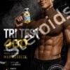Buy Tri Test 400mg/ml - Featured Image