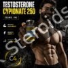 Testosterone Cypionate 250mg - Featured Image