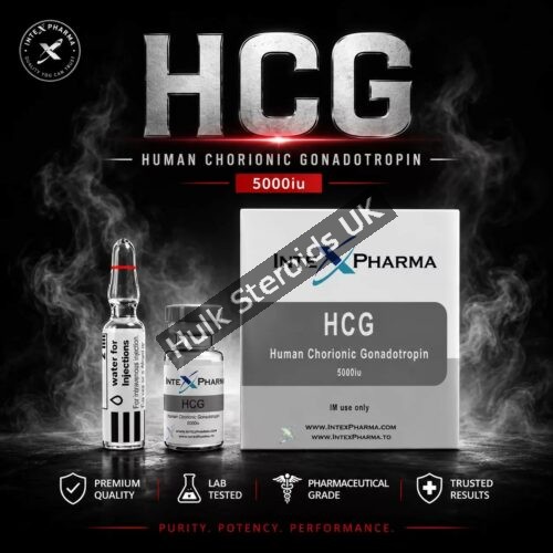 Intex Pharma HCG 5000iu - Featured Image