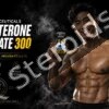 Buy Testosterone Enanthate 300 mg/ml C4-Pharmaceuticals - Featured Image