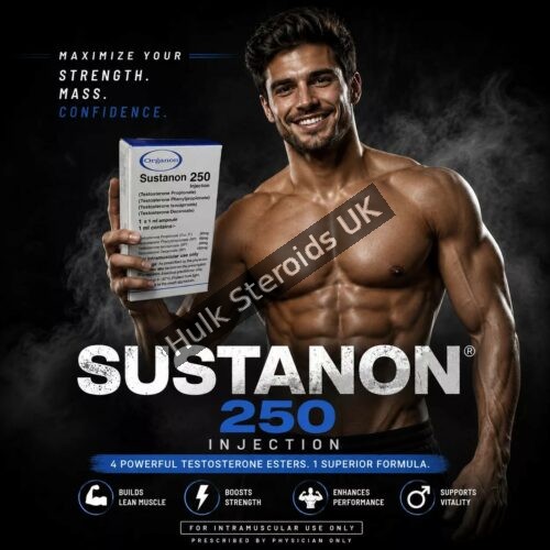 Buy Karachi Organon Sustanon - 3 x 250mg (Pharma Grade) - Featured Image