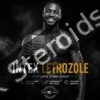 Intex Pharma Letrozole 2.5mg x 60 tabs - Featured Image
